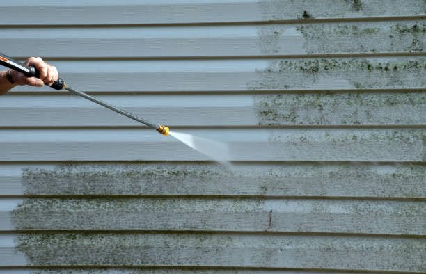 Best Sidewalk and Walkway Cleaning  in Covington, KY